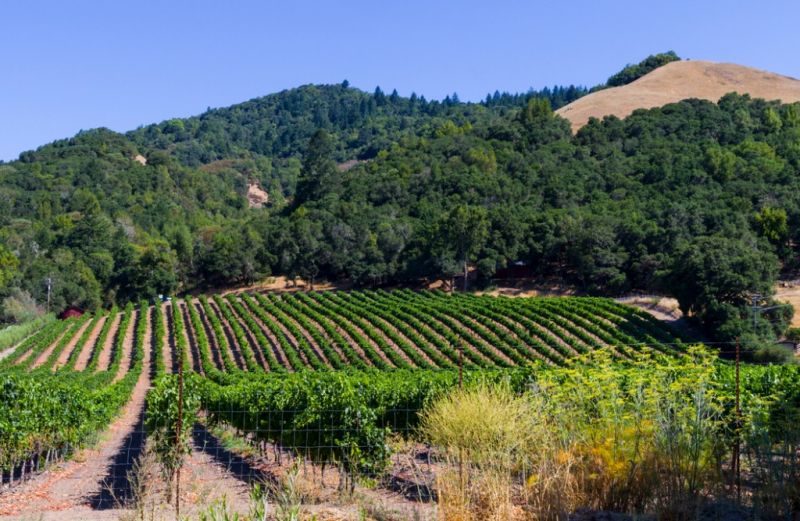 Best Tub To Shower Conversion pros in Sonoma, CA